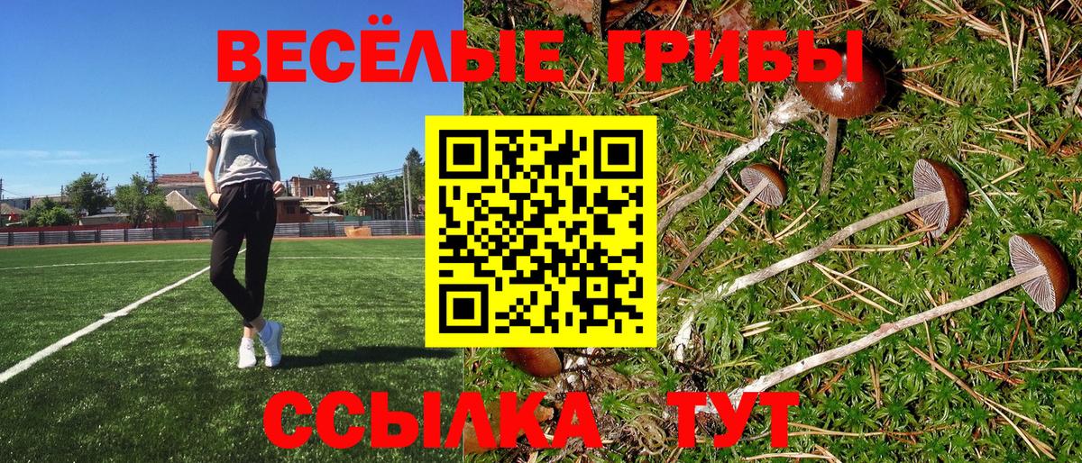 Псилоцибиновые грибы Psilocybine cubensis Лабинск