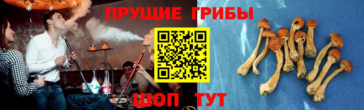 Лабинск  Галлюциногенные грибы MAGIC MUSHROOMS  Вход с VPN  Галлюциногенные грибы мицелий 